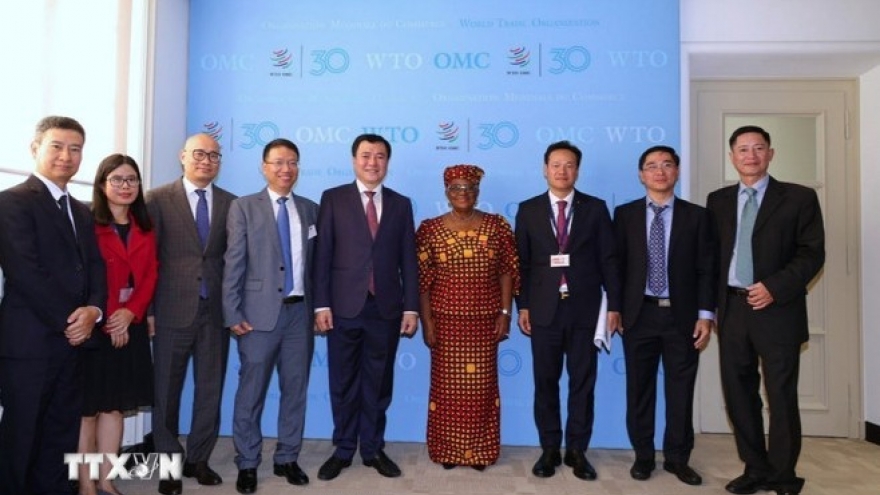 Vietnam underscores backing for WTO reform process